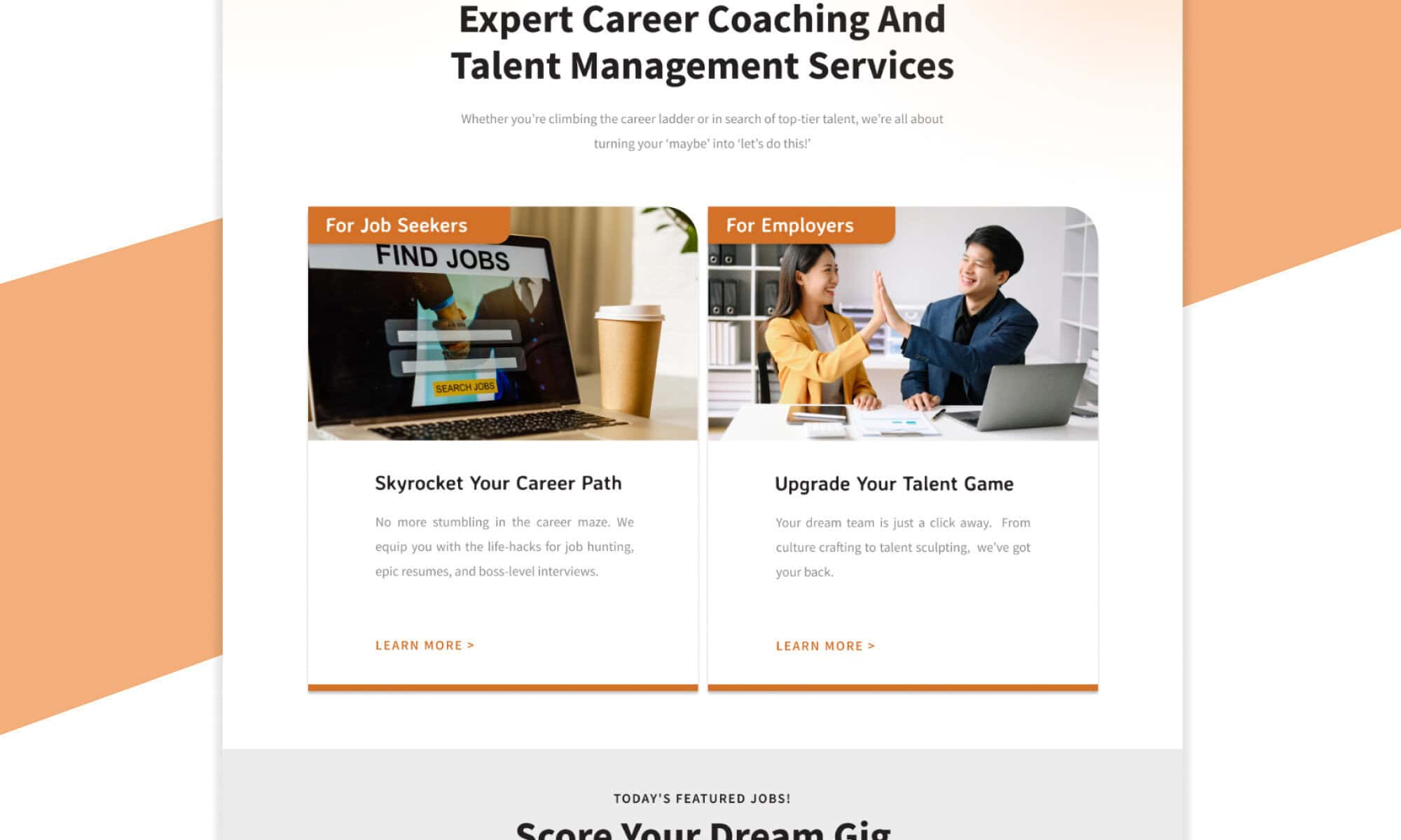 Vital Career Portfolio - WebHero Technology